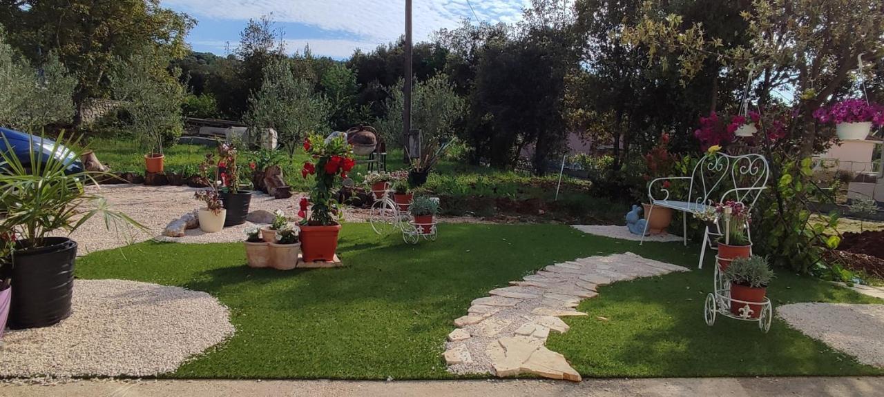 Apartments Villa Mihaela Banj Exterior photo